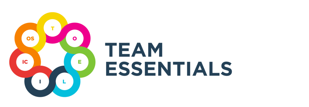 Team Essentials Survey Investment